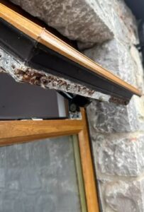 window wear and tear - corrosion
